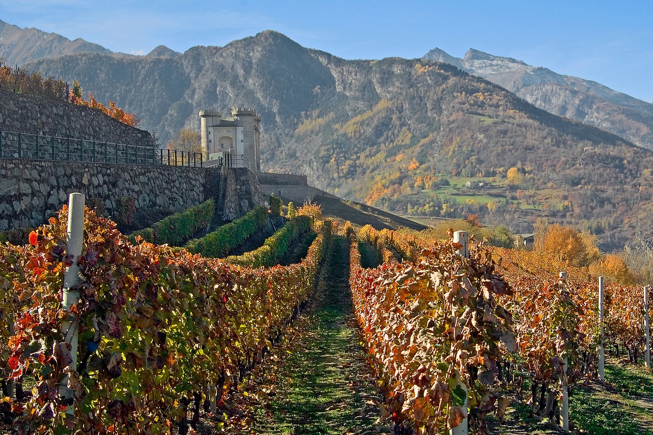O Valle d'Aosta tem vinhos DOC e uma raridade enológica: o Prieuré Vallée d’Aoste Chambave Moscato Passito DOC