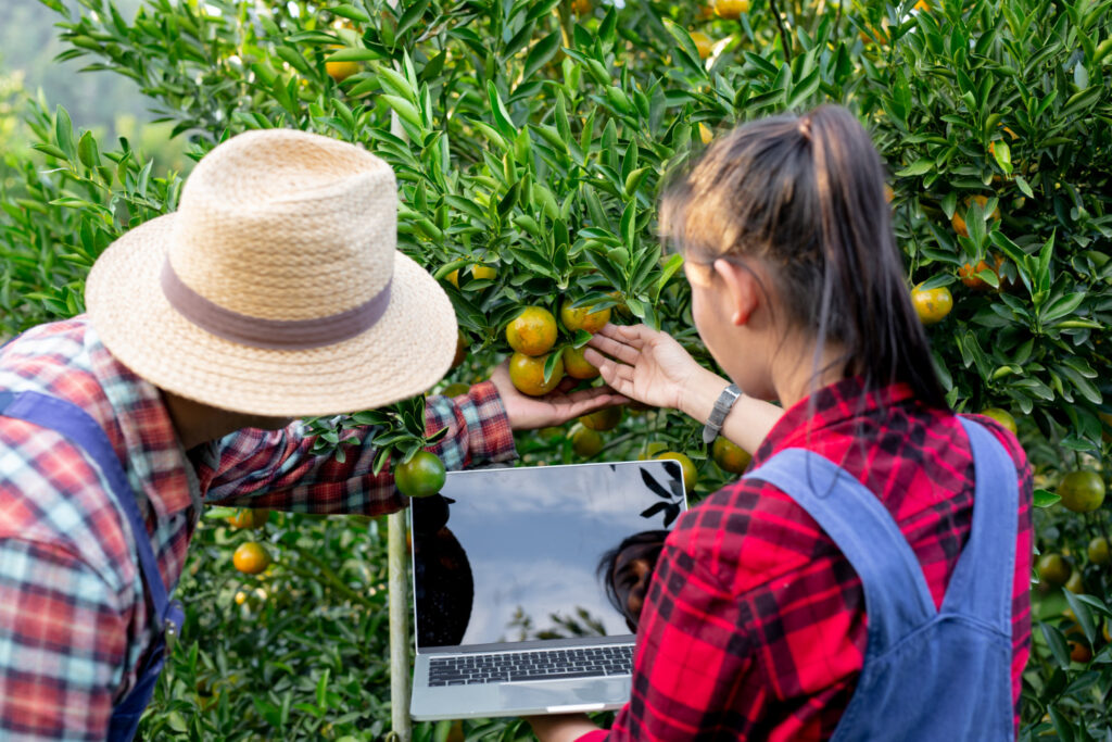 A inteligência artificial pode ser a nova arma contra o desperdício de alimentos. mas deve ser utilizada de forma responsável e ética. A colaboração entre governos, empresas, ONGs e consumidores é essencial para implementar soluções de IA eficazes e escaláveis.