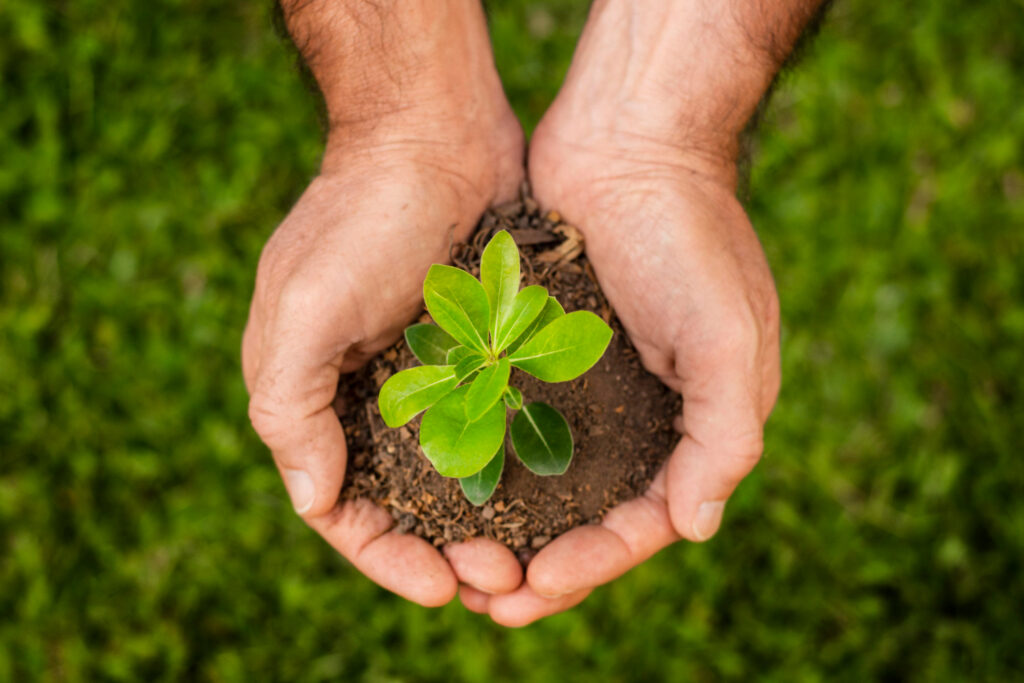 No Dia Mundial do Meio Ambiente é importante lembrar que ações pequenas, nas escolas e comunidades, criam, juntas, uma corrente de mudança