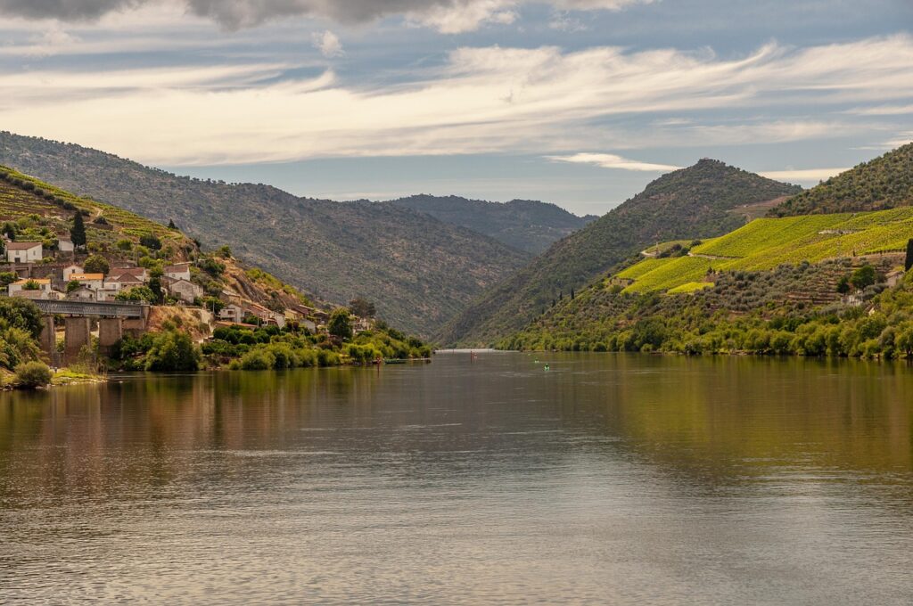 Douro é uma região vinícola de Portugal muito respeitada e conhecida no mundo todo, principalmente pelo seu maior vinho: o Vinho do Porto