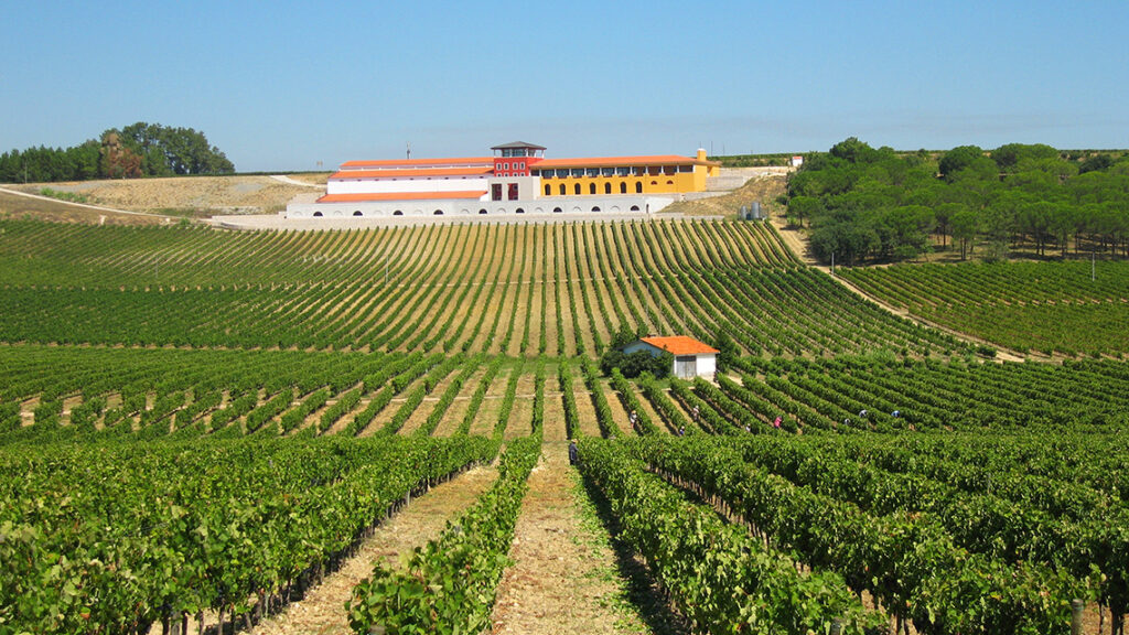 A Bairrada é uma das regiões vinícolas de Portugal com características próprias. Seu solo e clima permitem a produção de espumantes de qualidade
