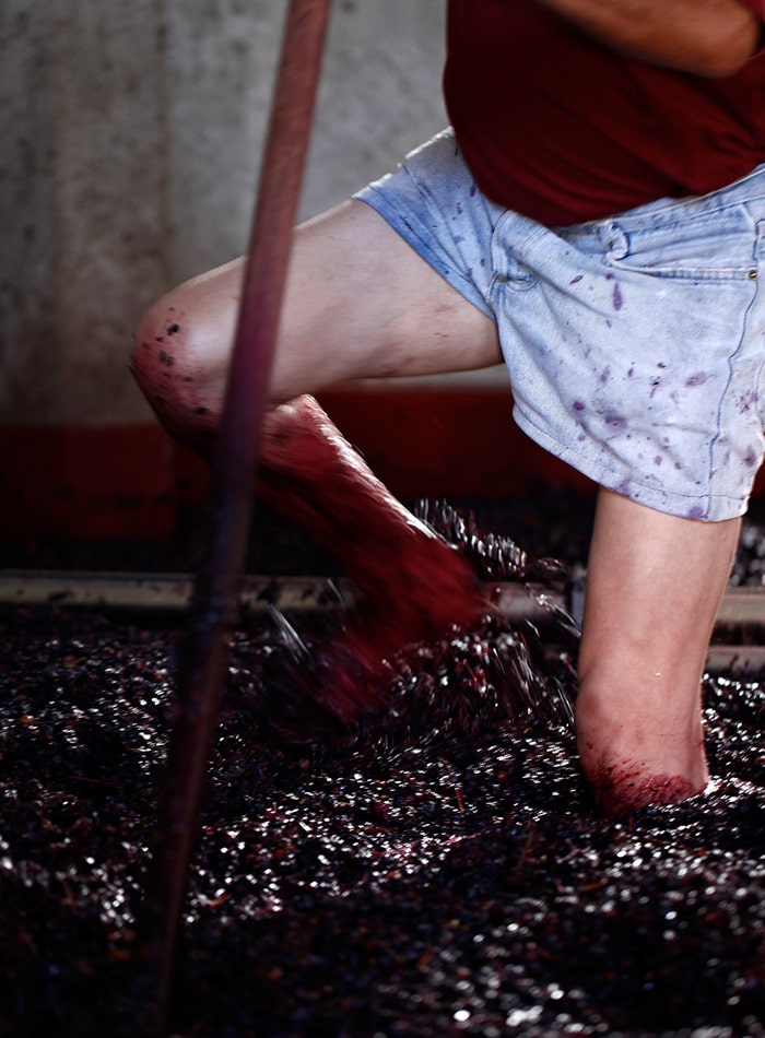 A viticultura da região do Tejo, no coração de Portugal,  é uma das mais antigas daquele país e, hoje, os vinhos são de alta qualidade