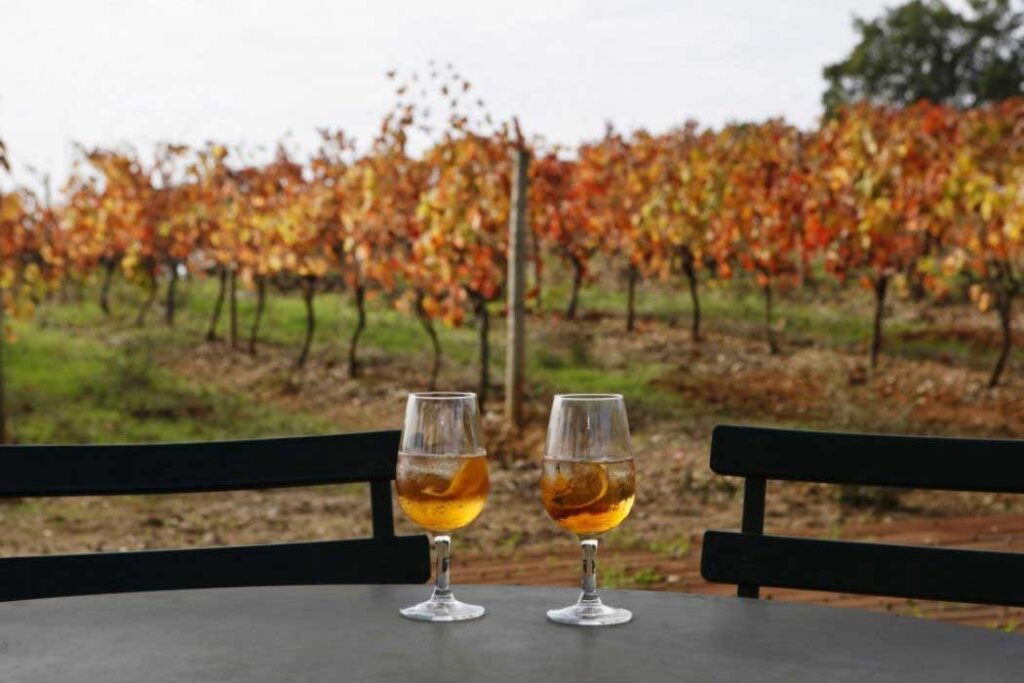 A região vinícola da Península de Setúbal reune a tradição de séculos e a excelência em vinhos, com destaque para o Moscatel de Setúbal