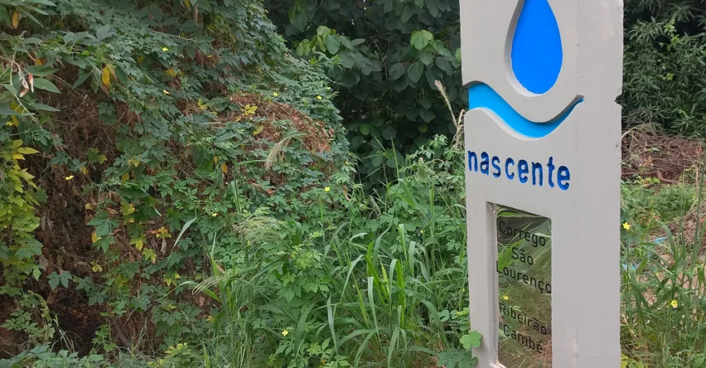 Dar uma perspectiva holística à Educação Ambiental conectaria o todo, para que o estudante se sinta parte ativa e responsável pelo equilíbrio da natureza