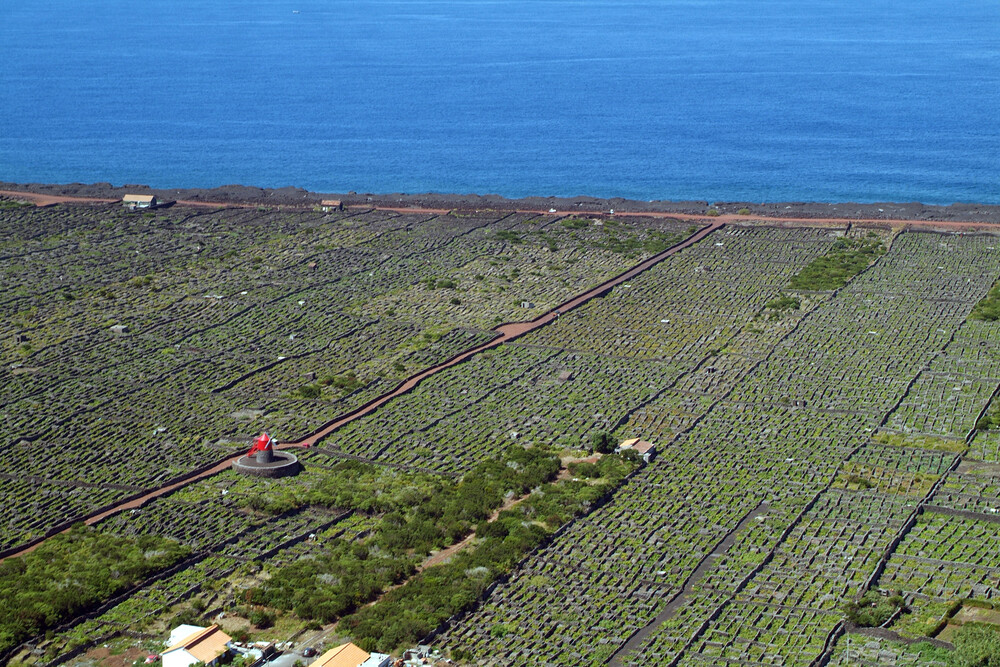 O arquipélago de Açores encerra nossa série sobre a vinicultura de Portugal. A vitivinicultura dos Açores é forte e merece ser conhecida