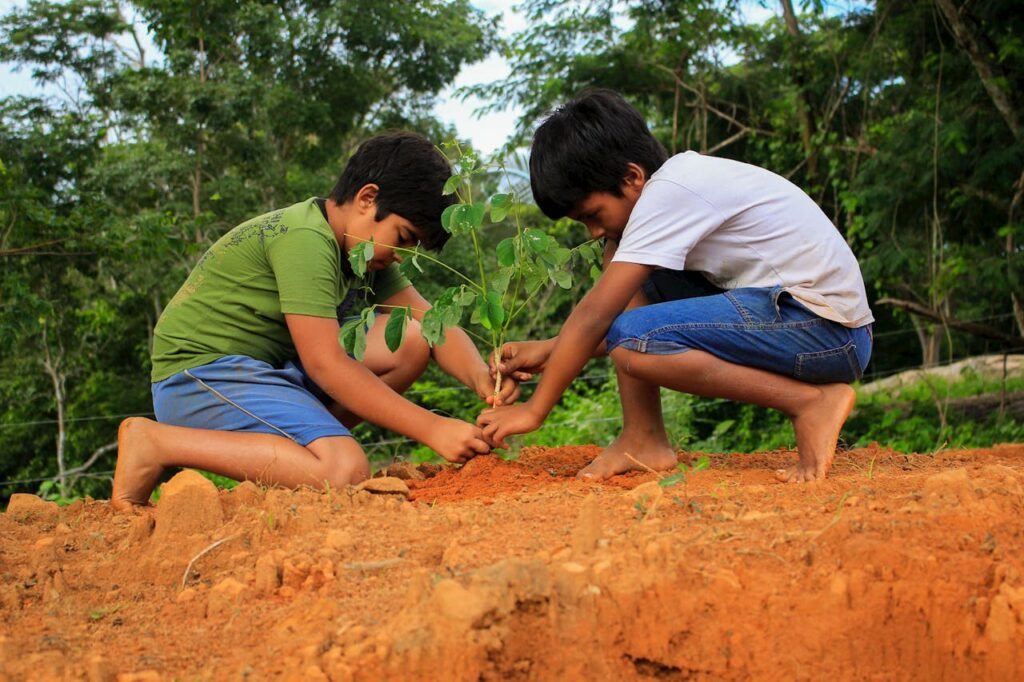 A intergração de temas climáticos na educção é essencial para fomentar a sustentabilidade e equipas jovens com ferramentas contra desinformação