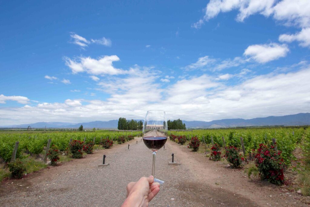 A Zona Leste de Mendoza foi uma das áreas de maior volume de produção da Argentina, com vinhedos antigos