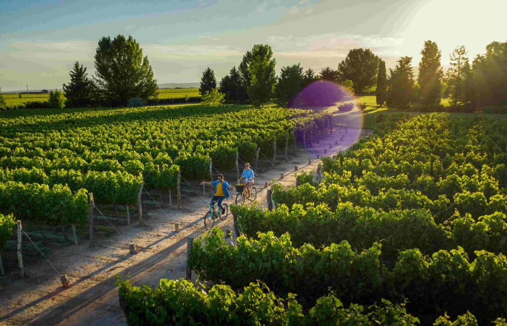 Mendoza é o principal polo vitivinícola da Argentina e tudo começou lá atrás, graças a engenhosidade do povo Huarpe, que habitava a região