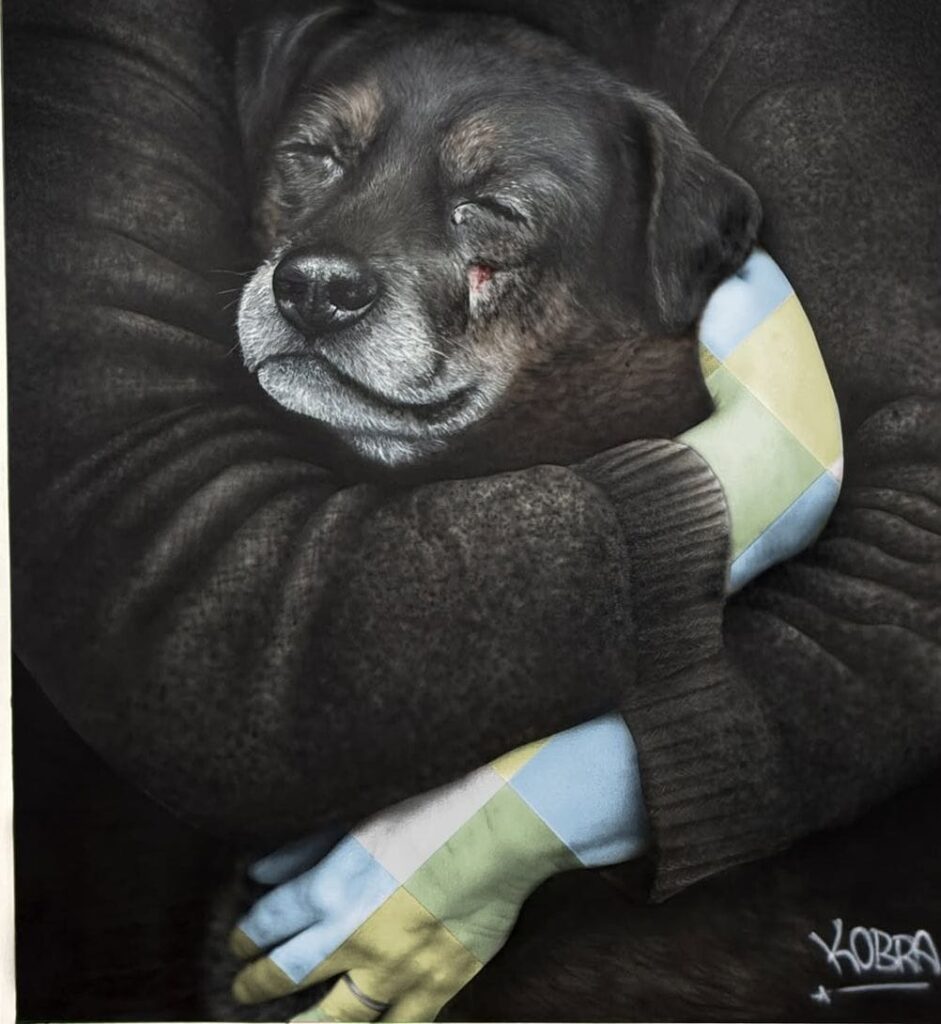 A coluna de hoje será em vídeo, para que expressar toda a indignação e revolta com a morte cruel do cão Orelha