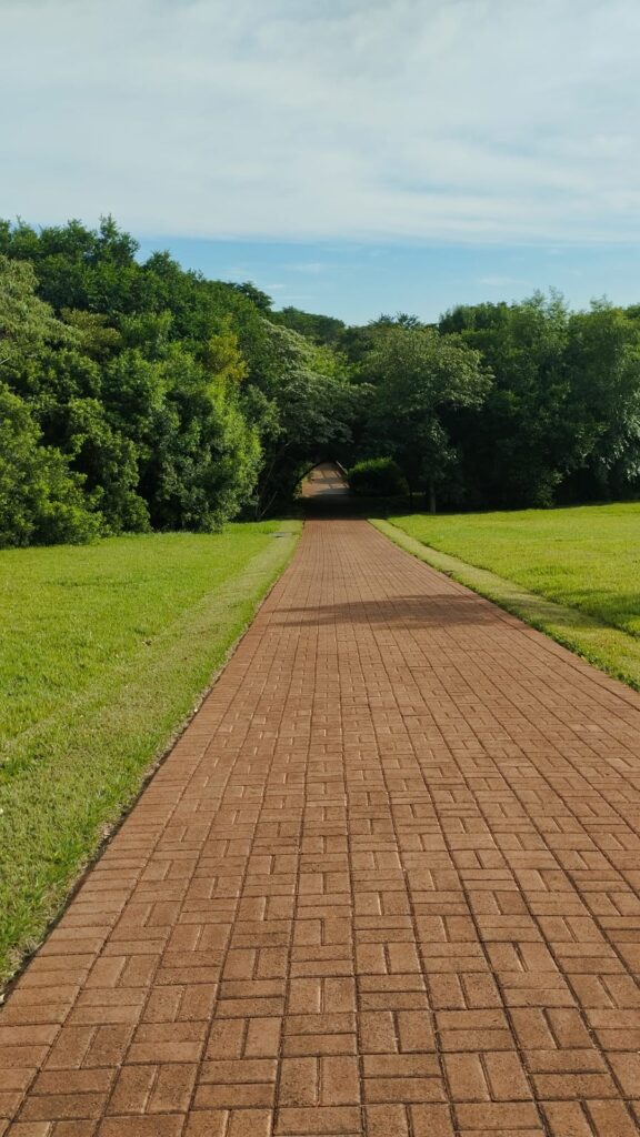 "Primeiro vem o propósito de ir; depois, vem a preparação". Essa frase ecoou porque, muitas vezes, sabemos onde queremos ir, mas não como continuar sem nos abandonar no caminho
