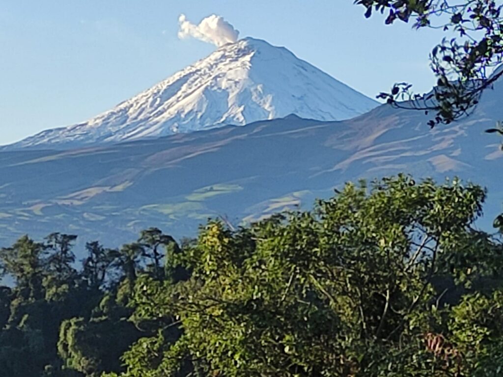 "Primeiro vem o propósito de ir; depois, vem a preparação". Essa frase ecoou porque, muitas vezes, sabemos onde queremos ir, mas não como continuar sem nos abandonar no caminho