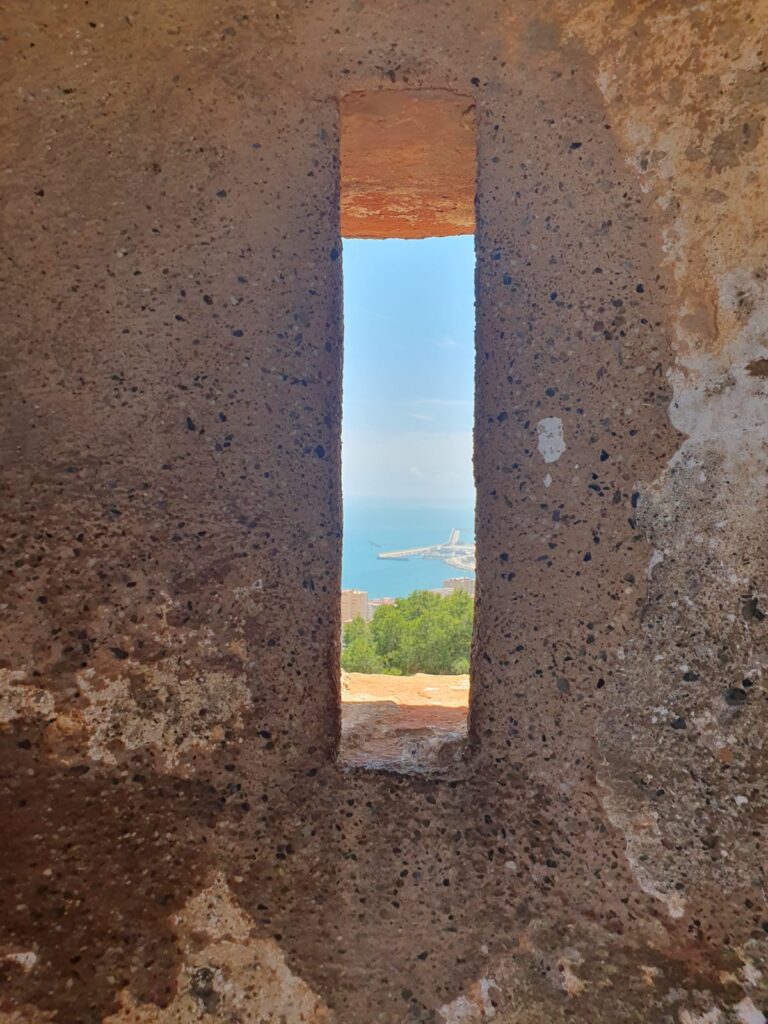 Ao longo da vida, habitamos diferentes corpos. O que reage, o que se esconde, o que fala...