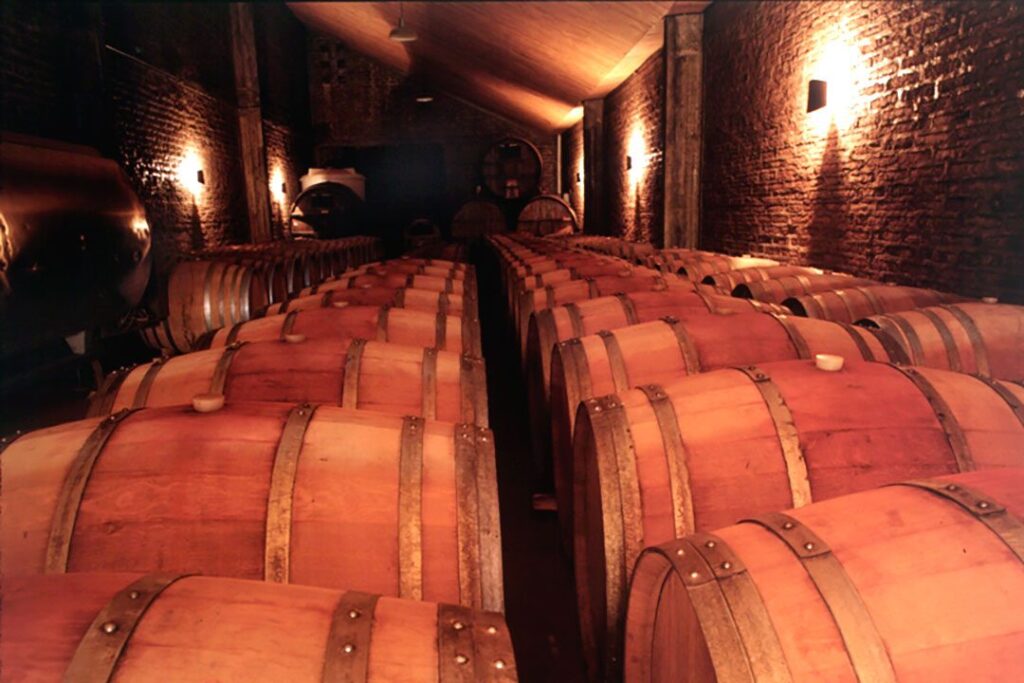 O Vale do Malleco, no sul do Chile, produz vinhos de acidez vibrante e cortante, com uma elegância aromática muito fina e grande potencial de guarda
