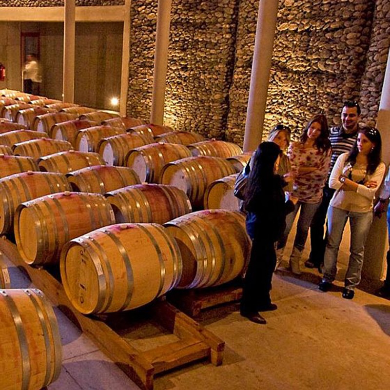 O Vale de Leyda, a 90 km de Santiago, Chile, é uma das regiões que redefiniram a imagem do vinho chileno internacionalmente