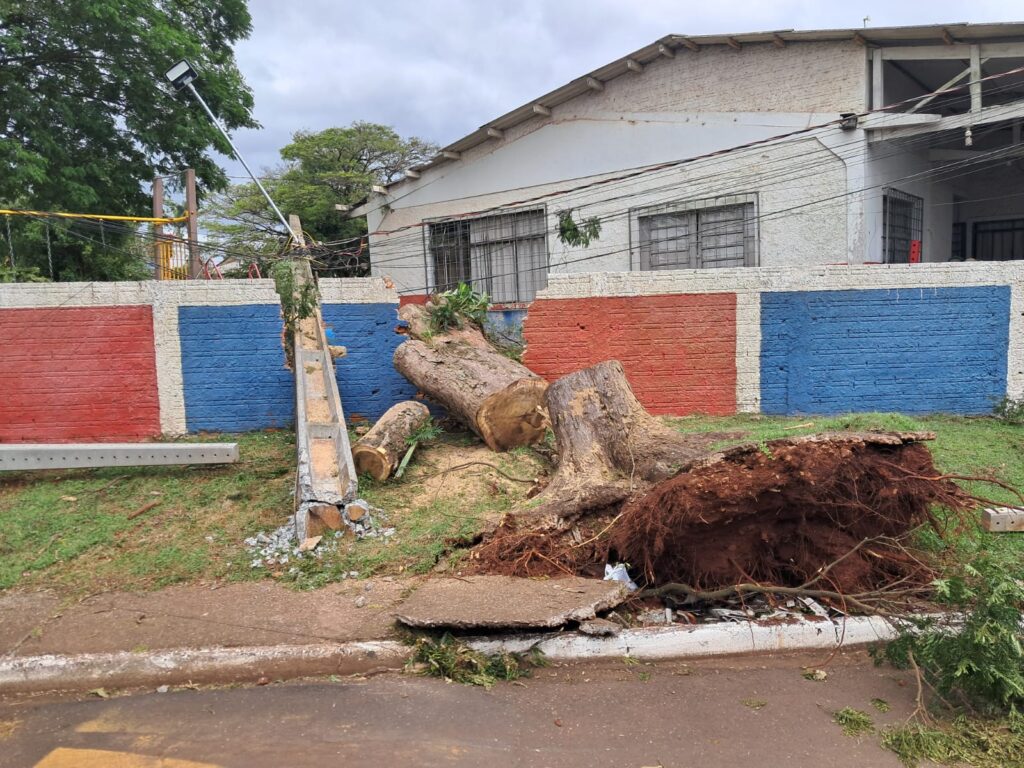 Apucarana viveu momentos de destruição na semana passada por um vendaval de força incrível. São os efeitos da mudança climática que estão batendo à nossa porta