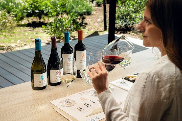 Os vinhos do Vale Del Limarí fizeram a região ser conhecida como a capital chilena dos bancos mineirais. Conheça mais sobre os vinhos do Limari