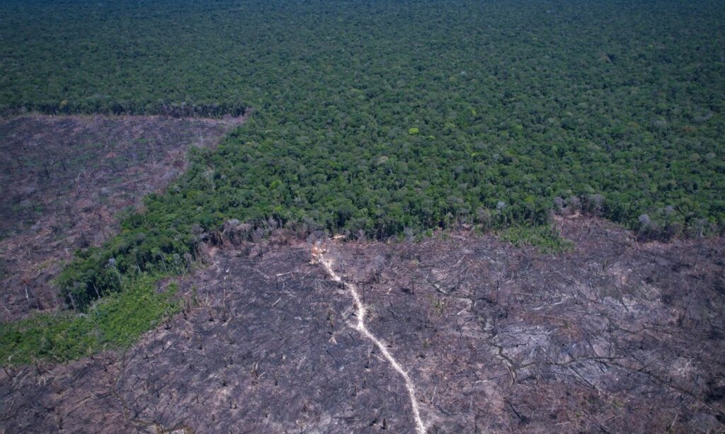 O segundo turno define muito mais que um presidente: está em jogo a casa que queremos deixar para o futuro. O Brasil precisa escolher entre explorar suas riquezas sem limites ou conciliar desenvolvimento e proteção ambiental