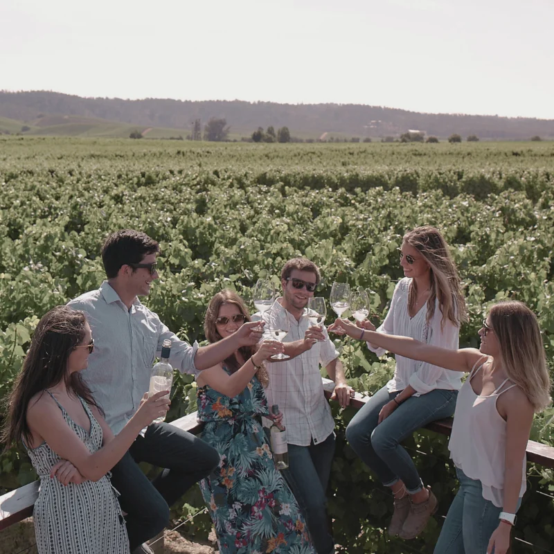 O Vale de Casablanca provou, para o restante do Chile e do mundo, que o terroir chileno vai além dos tintos potentes e ensolarados