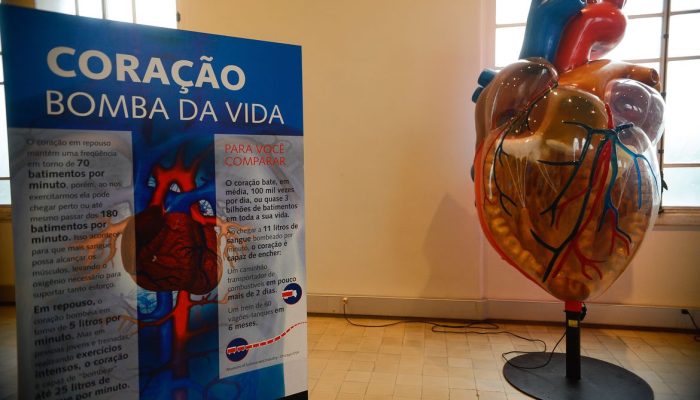 Rio de Janeiro - Exposição Vias do Coração no Museu da Vida, no Castelo da Fiocruz,  divulga o conhecimento sobre o coração, para estimular a prevenção das doenças cardiovasculares (Tomaz Silva/Agência Brasil)