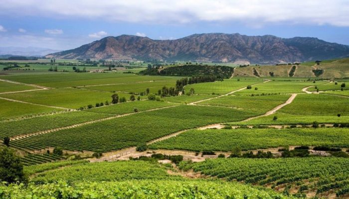 12f9bfee-valle-de-colchagua-y-santa-cruz_5-1-1024x512