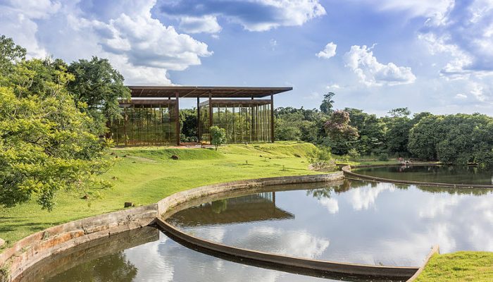 800px-Jardim_Botânico_de_Londrina_-_Estufa_01