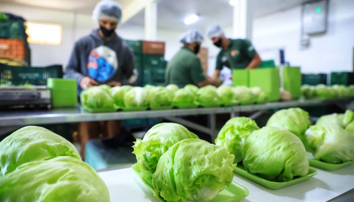 Fundepar abre chamada pública para compras da agricultura familiar - Curitiba, 08/12/2021