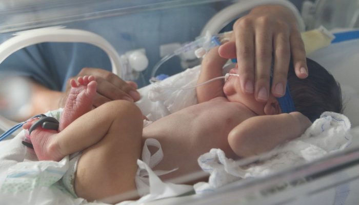 Bebes na UTI Neonatal do Hospital Universitário de Brasília (HUB-UnB). O hospotal realiza rodada de palestras com o tema “Prematuridade: o cuidado centrado na família”. O evento faz parte das comemorações do Novembro Roxo, mês do Dia Mundial da Prematuridade.