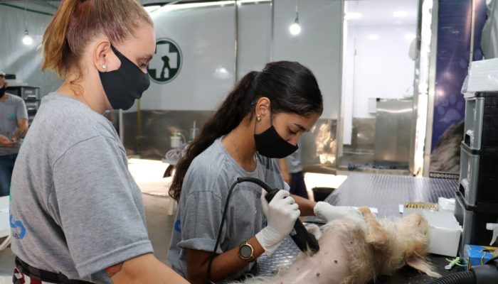 Castramovel-na-Zona-Norte-Emerson-Dias_NCom-3