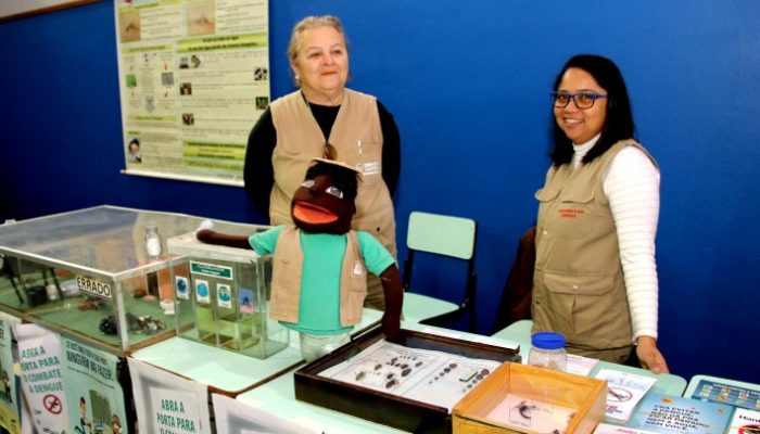 Educacao-Dengue-Maquete-Fantoche-Arquivo-2