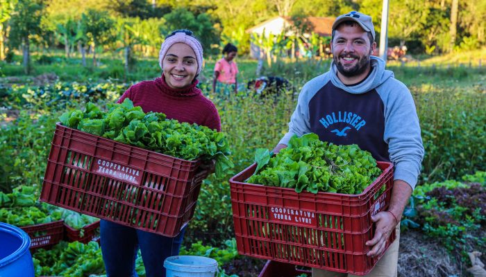 Produção agroecológica e orgânica