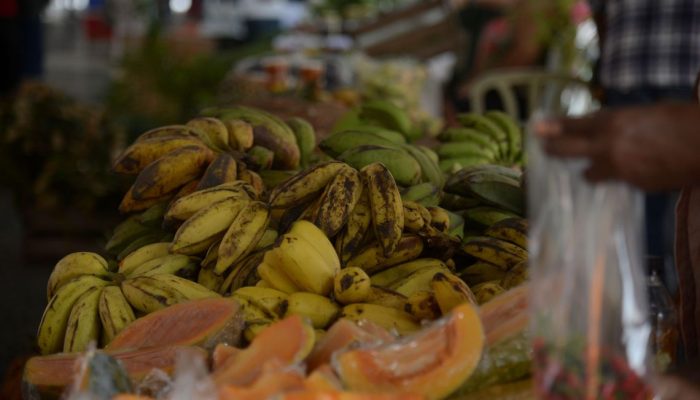Rio de Janeiro - 11ª Feira Estadual da Reforma Agrária Cícero Guedes, no Largo da Carioca, região central do Rio. (Foto: Tânia Rêgo/Agência Brasil)
