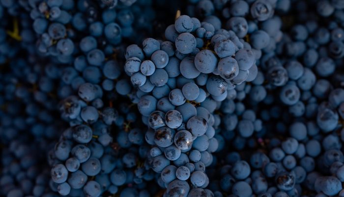 Post3_Wineblog_15-10