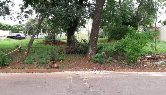 Rua-Charles-Darwin-com-Prefeito-Faria-Lima