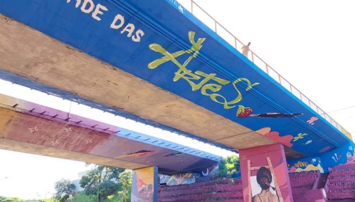 Grafitagem na Av. 10 de Dezembro