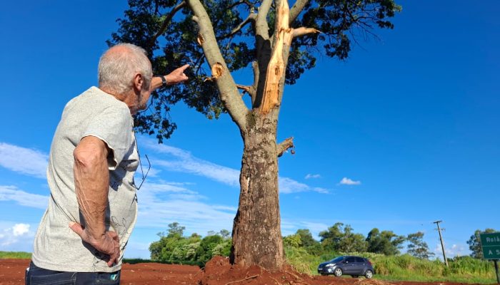 WhatsApp Image 2026-02-20 at 10.35.45 (1)