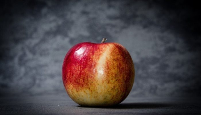 apple-education-school-knowledge-apples-red-book