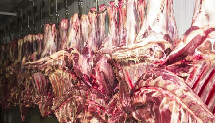 Carne fresca,Açougues, Frigoríficos, alimento