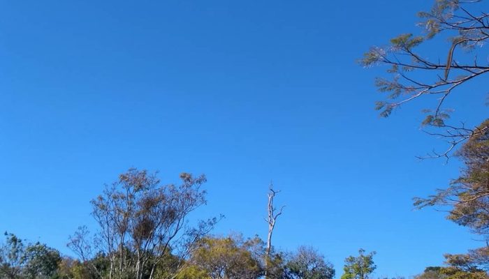 ceuazul