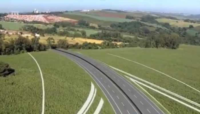 contorno