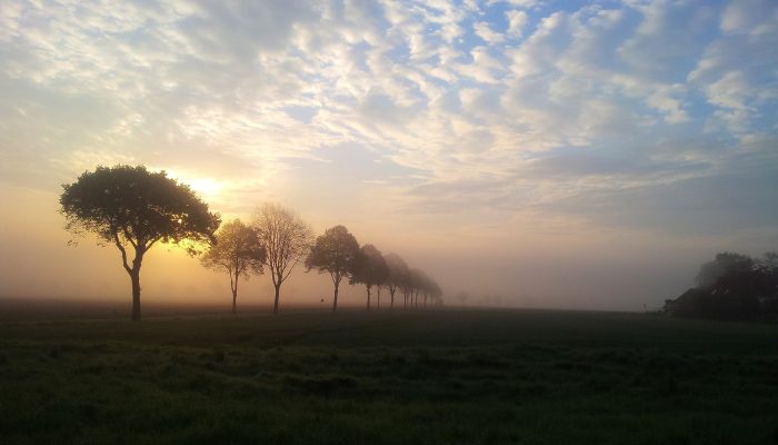 dawn-3165878_1920
