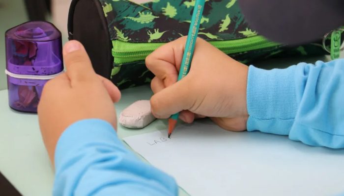 educação-municipal-vivan-honorato-n.com