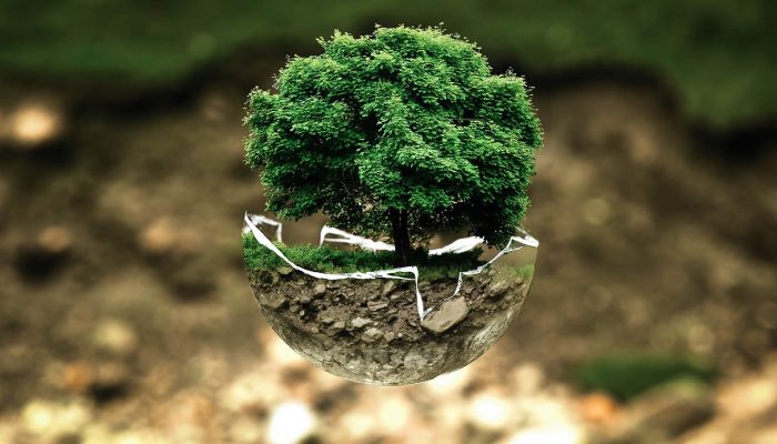 environmental-protection-683437_1280