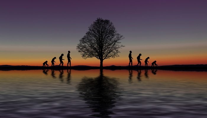 evolution-3871223_1920