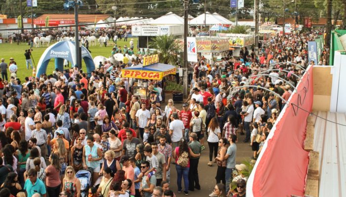 expo-dia13