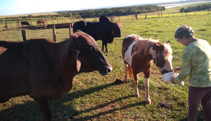 fazenda-santamaria