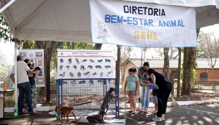 feirinha-adoção-animais-aterro-Emerson-Dias_NCom-1