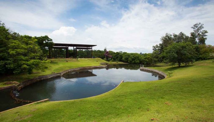jardim-botanico-londrina
