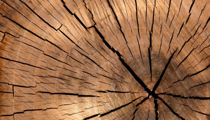 lumber-84678_1920