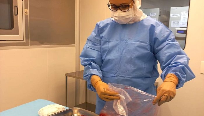 Rio de Janeiro (RJ) - Curativo biológico à base de placenta, desenvolvido pelo Instituto Nacional de Traumatologia e Ortopedia-INTO. Foto: INTO/Divulgação