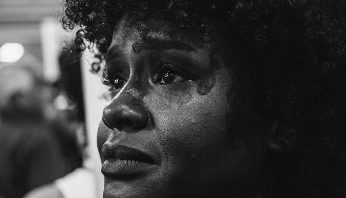 pexels-lia-castro-1708654-12340460